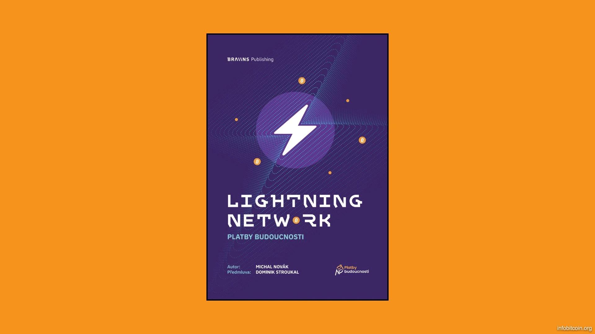 Lightning Network: Platby budoucnosti – Průvodce budoucností plateb